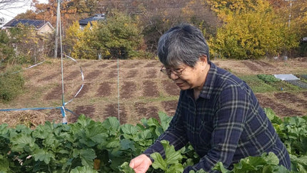 信州蓼科山麓でハラペーニョや食用ほおずきをつくる【ヤマザキ農園】 ～山崎茜未さん～