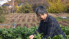 信州蓼科山麓でハラペーニョや食用ほおずきをつくる【ヤマザキ農園】 ～山崎茜未さん～