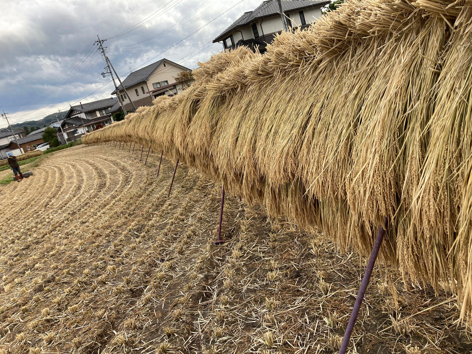 産地直送・生鮮