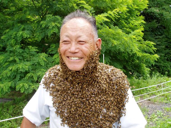 【荻原養蜂園】信州りんご蜂蜜 300g｜純国産100%・非加熱・長野県産・生産者直送