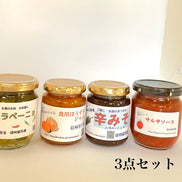 信州産ハラペーニョ＆食用ほうずき 選べる無添加調味料3点セット【ヤマザキ農園】