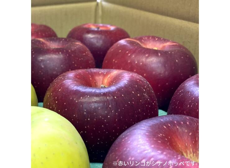 シナノホッペ 3kg｜【りんごやSUDA】長野県産 最新品種 お届け：11月上旬〜中旬