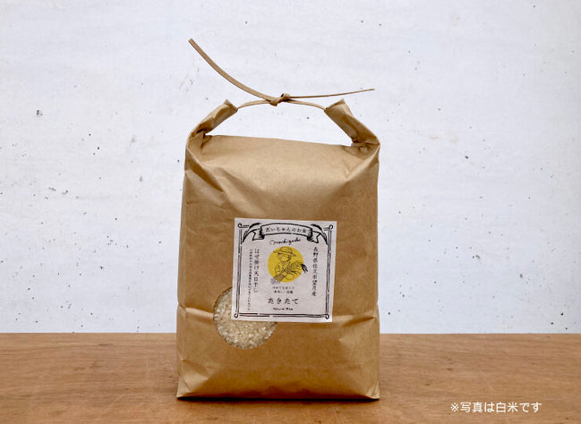 無農薬・天日干し｜だいちゃんのお米 白米 ３kg｜長野県産 たきたて【予約販売・11月以降発送】
