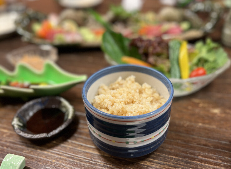 無農薬・天日干し｜だいちゃんのお米 玄米 ５kg｜長野県産 たきたて【予約販売・11月以降発送】