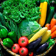 【たくみの】高原育ち 旬の野菜お得セットL｜農薬・化学肥料不使用・10種盛りだくさん（6〜2月限定）