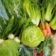 【たくみの】高原育ち 旬の野菜セットM｜農薬・化学肥料不使用・10種・小家族向け（6〜2月限定）