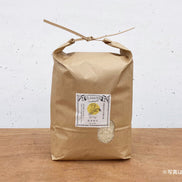 無農薬・天日干し｜だいちゃんのお米 玄米 ５kg｜長野県産 たきたて【予約販売・11月以降発送】
