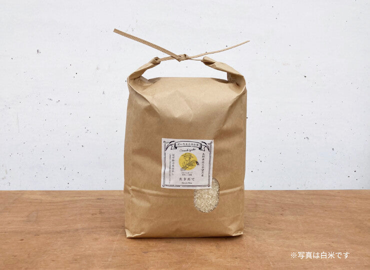 無農薬・天日干し｜だいちゃんのお米 玄米 ５kg｜長野県産 たきたて【予約販売・11月以降発送】