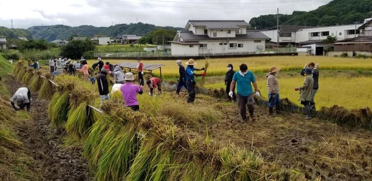 黒澤酒造 井筒長 手造り無添加あまざけ 720mℓ｜長野県産米・米糀使用