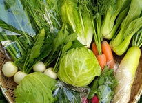 【たくみの】高原育ち 旬の野菜セットS｜農薬・化学肥料不使用・7種・一人暮らし・少人数向け（6〜2月限定）