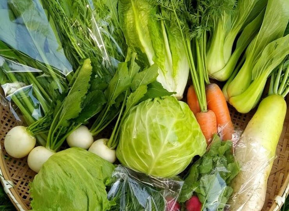 【たくみの】高原育ち 旬の野菜セットS｜農薬・化学肥料不使用・7種・一人暮らし・少人数向け（6〜2月限定）