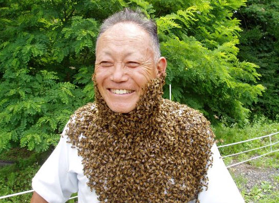 【荻原養蜂園】純国産100%・非加熱はちみつ 3種食べ比べギフトセット 各50g｜長野県産・生産者直送・化粧箱入り