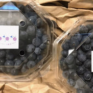 【幸せフルーツ工房】有機 JAS認証 ラビットアイ系ブルーベリー 500g｜長野県安曇野産・農薬不使用・生産者直送