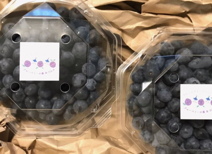 【幸せフルーツ工房】有機 JAS認証 ラビットアイ系ブルーベリー 500g｜長野県安曇野産・農薬不使用・生産者直送