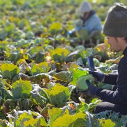 【たくみの】高原育ち 旬の野菜セットS｜農薬・化学肥料不使用・7種・一人暮らし・少人数向け（6〜2月限定）