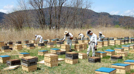 【荻原養蜂園】純国産100%・非加熱はちみつ 6種食べ比べギフトセット 各50g｜長野県産・生産者直送・化粧箱入り