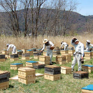 【荻原養蜂園】純国産100%・非加熱はちみつ 3種食べ比べギフトセット（桜・栗・そば） 各50g｜長野県産・生産者直送・化粧箱入り