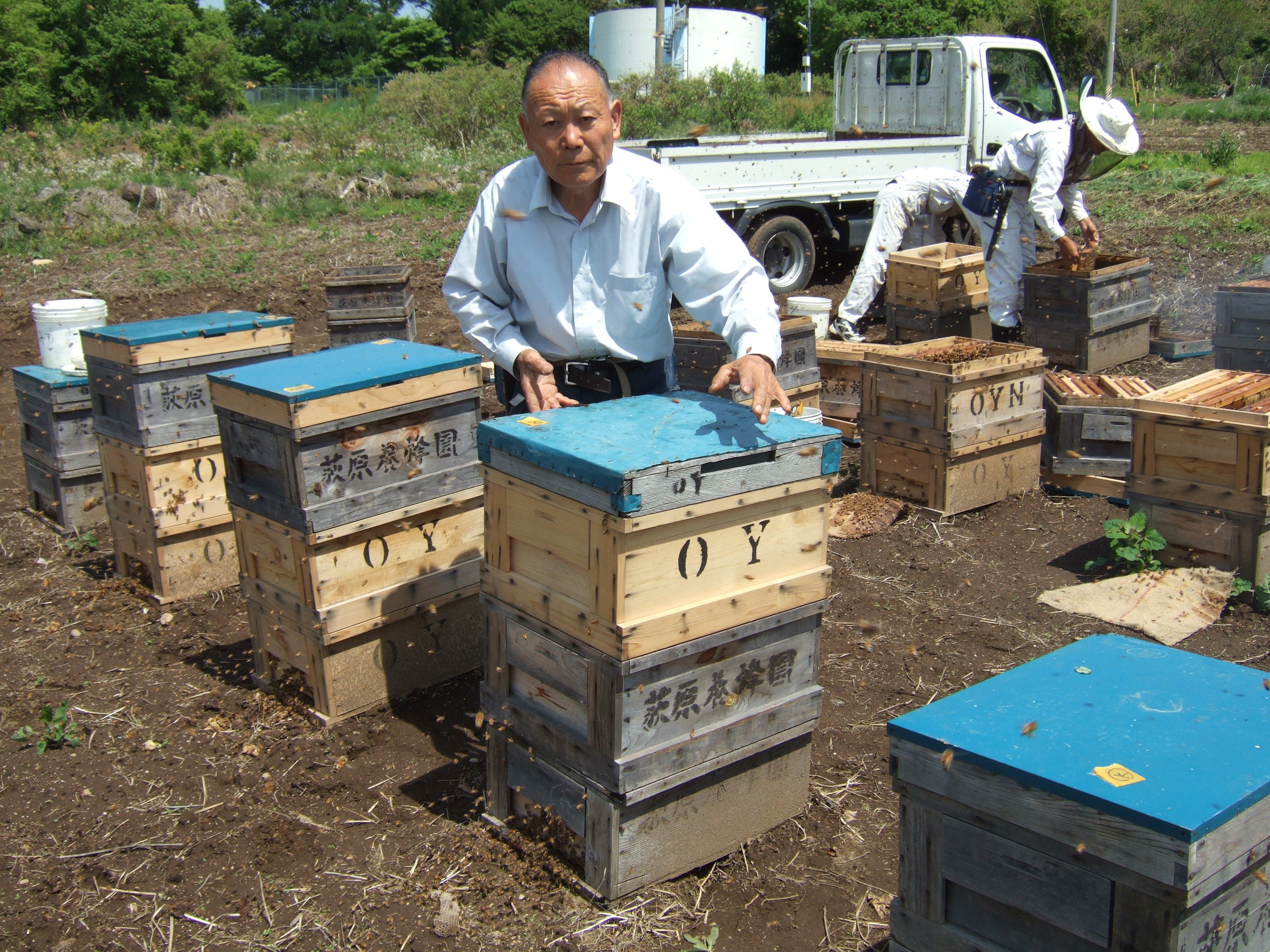【荻原養蜂園】信州りんご蜂蜜 300g｜純国産100%・非加熱・長野県産・生産者直送