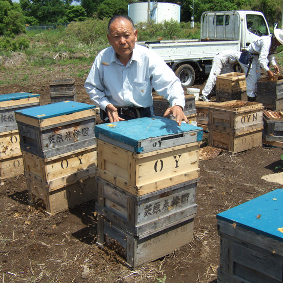 【荻原養蜂園】信州りんご蜂蜜 300g｜純国産100%・非加熱・長野県産・生産者直送