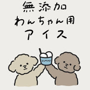 ワンちゃんの無添加アイス<br>プレーン/さつまいも/信州りんご味<br>12個セット<br>【mitreats】