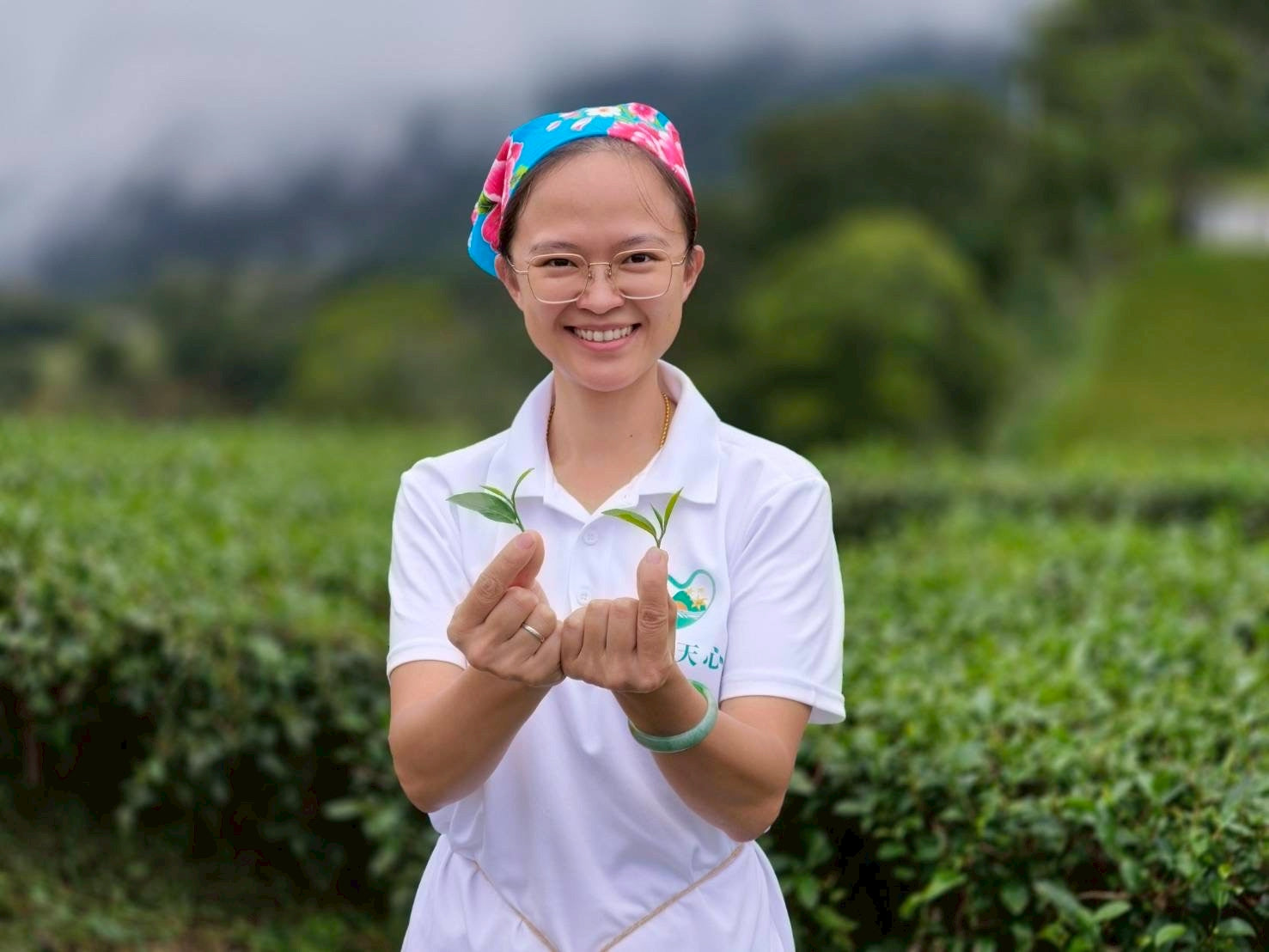 【天心茶園】台湾有機蜜香紅茶 ギフトセット｜鉄製缶入・化粧笥付｜台湾直送