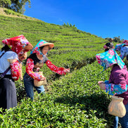【天心茶園】台湾有機蜜香紅茶 ギフトセット｜鉄製缶入・化粧笥付｜台湾直送