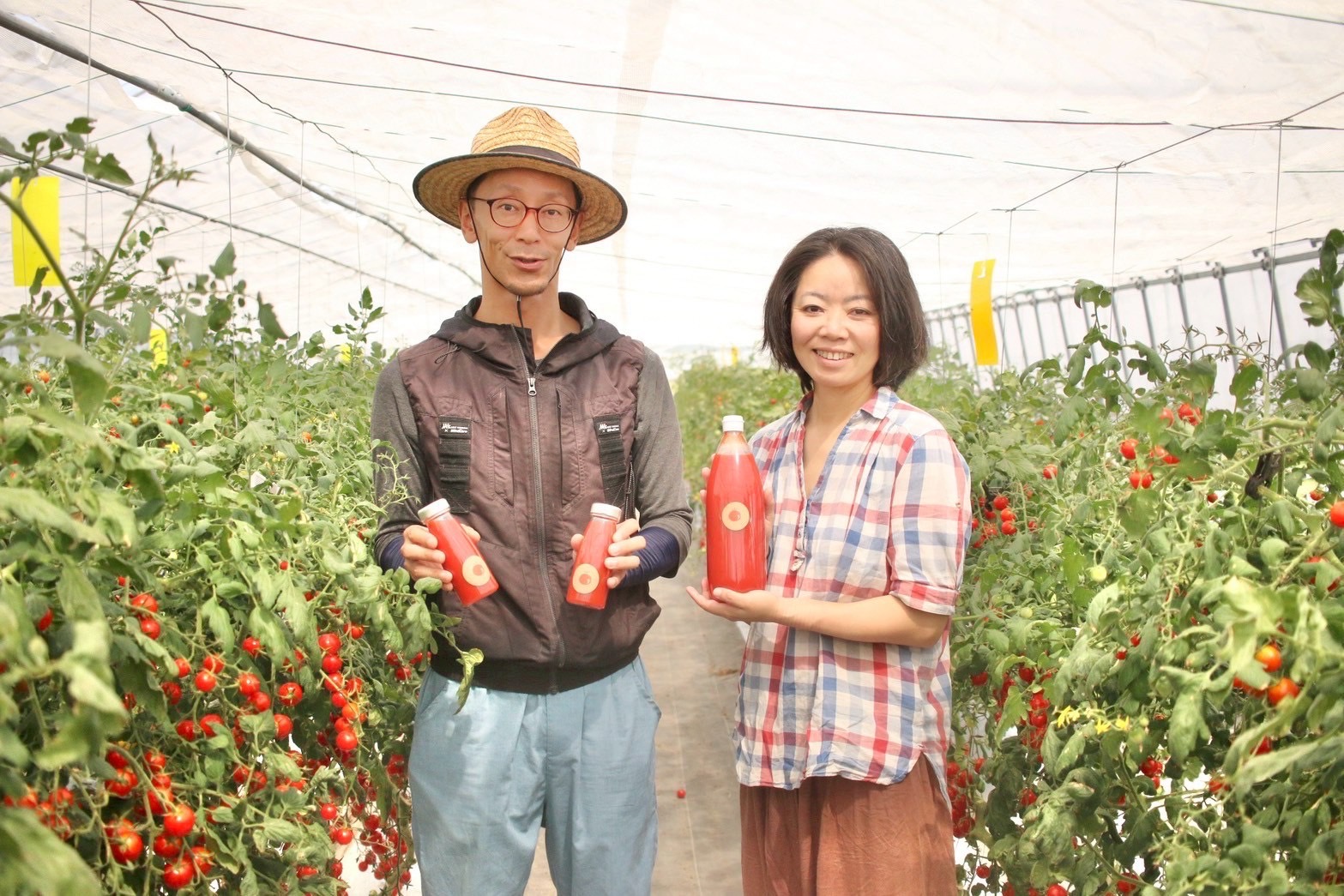 超完熟にこだわるミニトマト農家 【まつのき農】インタビュー | ii7GET